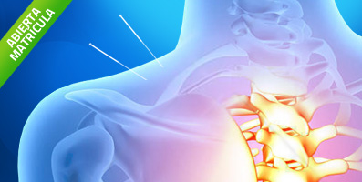 Curso de Experto en Acupuntura Clínica