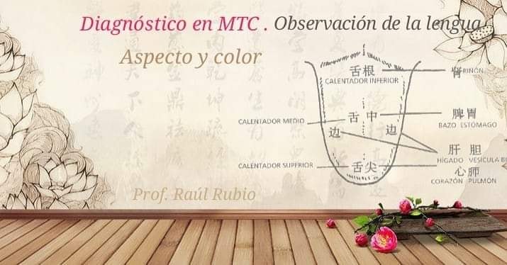 Clase #DIAGNOSTICO en #MedicinaChina: observación de la lengua, aspecto y color
