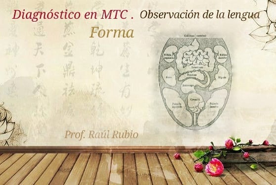 Clase #DIAGNOSTICO en #MedicinaChina: observación de la lengua, FORMA