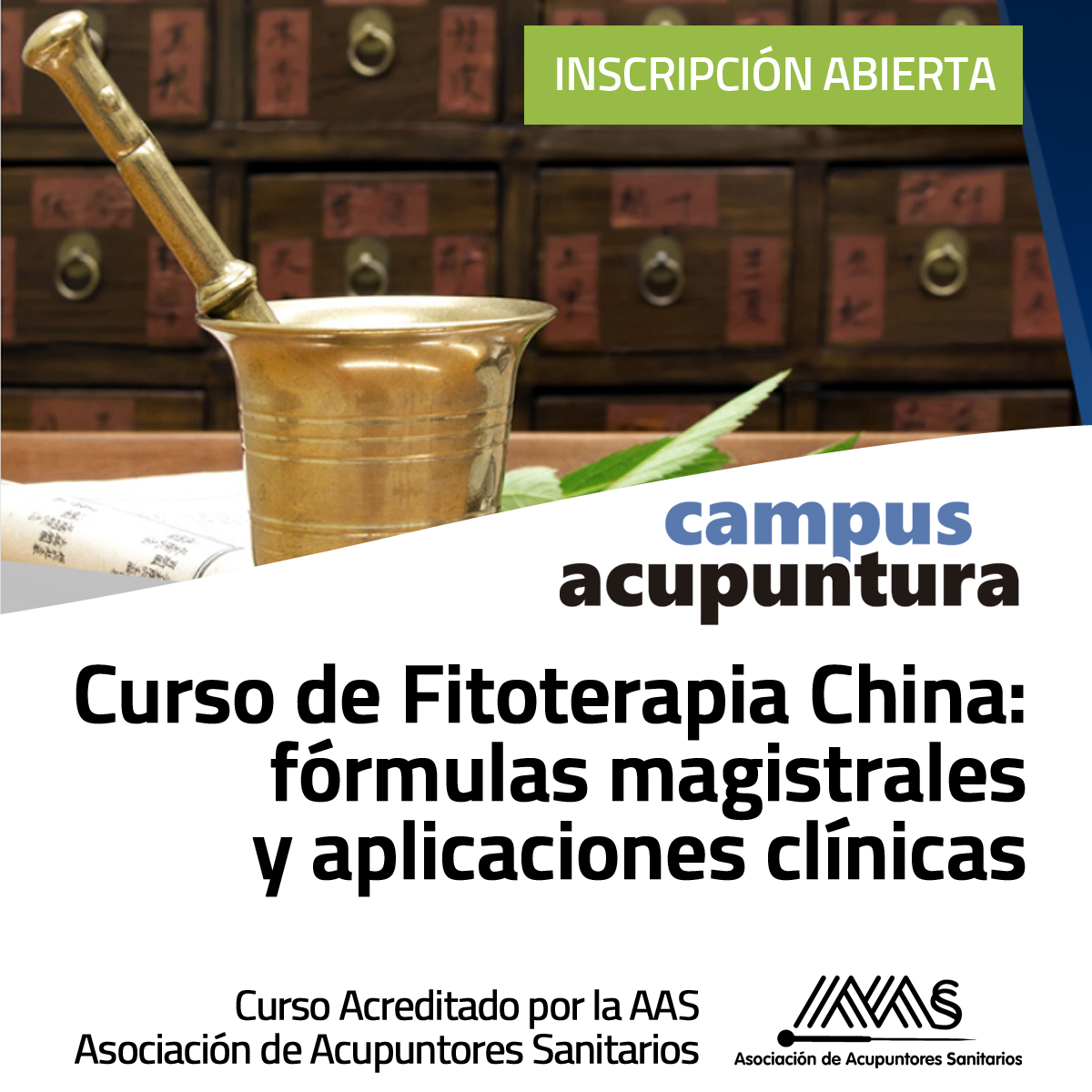 Curso de Fitoterapia Tradicional China: formulas magistrales y aplicaciones clínicas