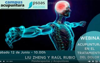 WEBINAR: Acupuntura en el Tratamiento del Dolor | Campus Acupuntura