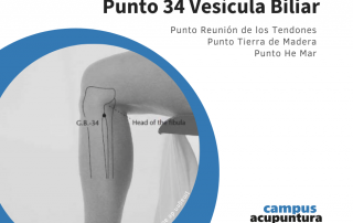 Denominado YANG LIN QUAN (Fuente de la colina Yang), el punto 34 del meridiano de la Vesícula Biliar
