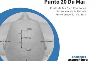 Punto 20 Du Mai