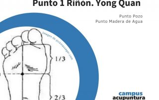 Punto 1 Riñón. YONG QUAN