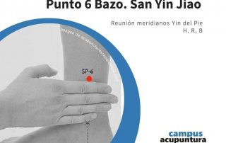 Punto 6 Bazo. SAN JIN JIAO