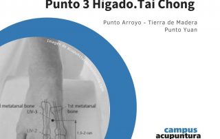 Punto 3 Hígado. TAI CHONG