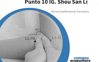 Punto 10 IG SHOU SAN LI