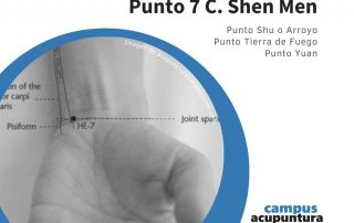 Punto 7C. SHEN MEN