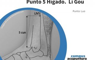 Punto 5 HÍGADO. LI GOU