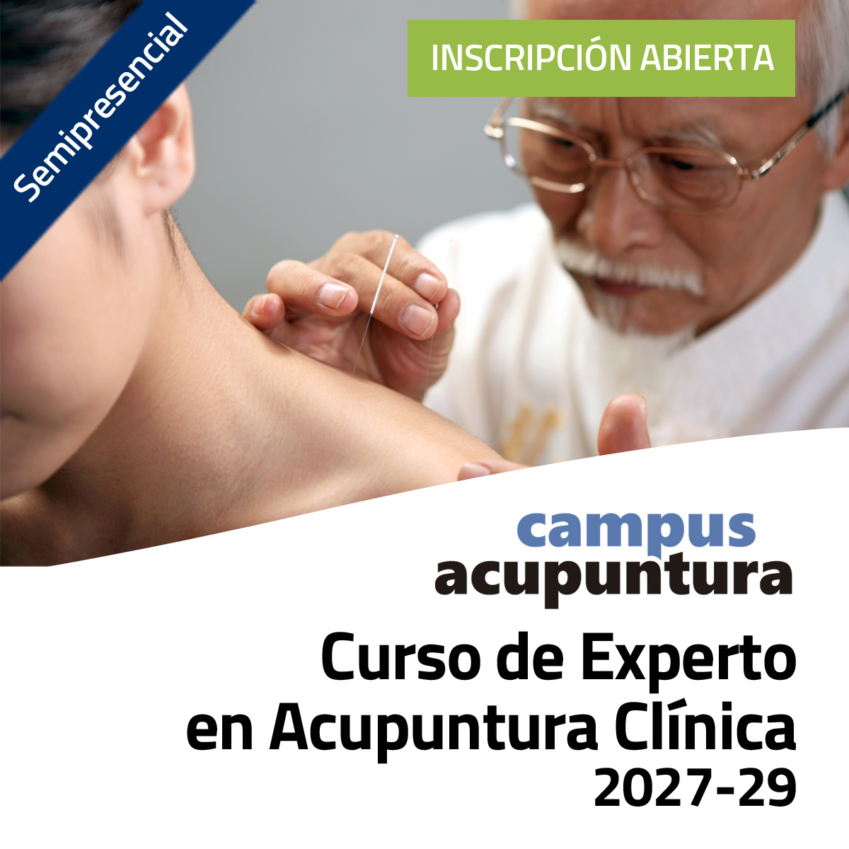 Curso Experto en Acupuntura Clínica (Edición 2027-29)