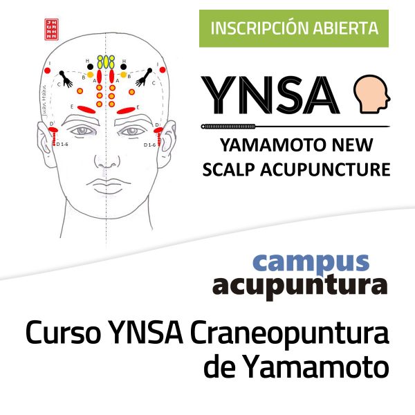 Curso YNSA Craneopuntura de Yamamoto