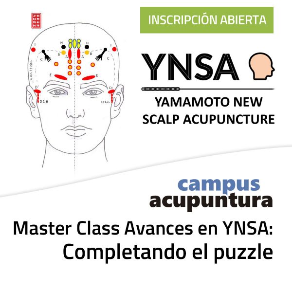 Master Class Avances en YNSA: Completando el puzzle