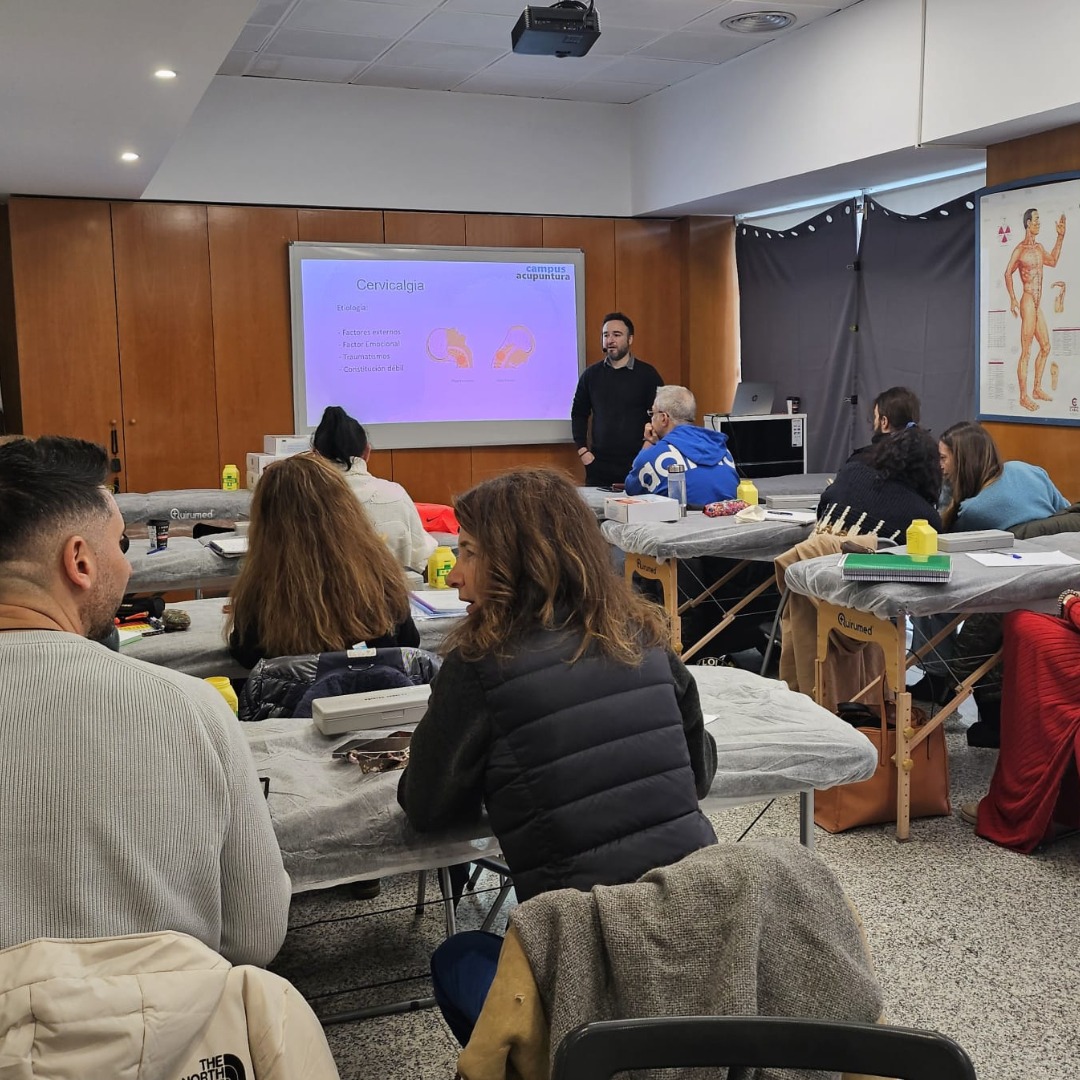 Los alumnos de segundo del Curso Experto en Acupuntura Clínica ya están entrando en la recta final 😮 Los alumnos de segundo del Curso Experto en Acupuntura Clínica ya están entrando en la recta final 😮