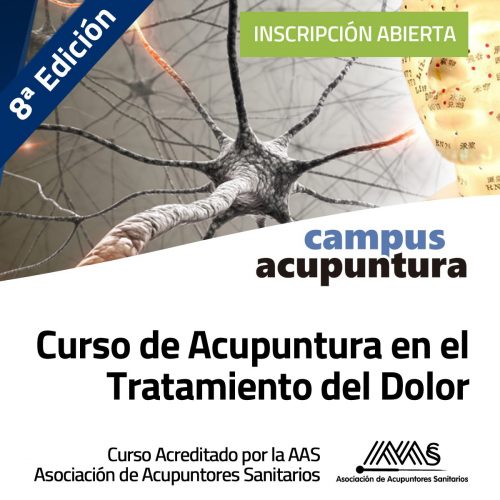 Curso de Acupuntura en el Tratamiento del Dolor