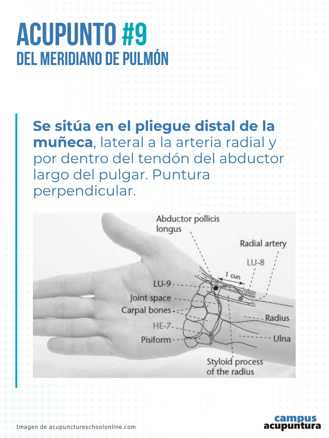 El punto 9 del Meridiano de Pulmón también denominado Abismo Supremo (TAI YUAN) es el punto Shu o Arroyo del meridiano Yin El punto 9 del Meridiano de Pulmón también denominado Abismo Supremo (TAI YUAN) es el punto Shu o Arroyo del meridiano Yin