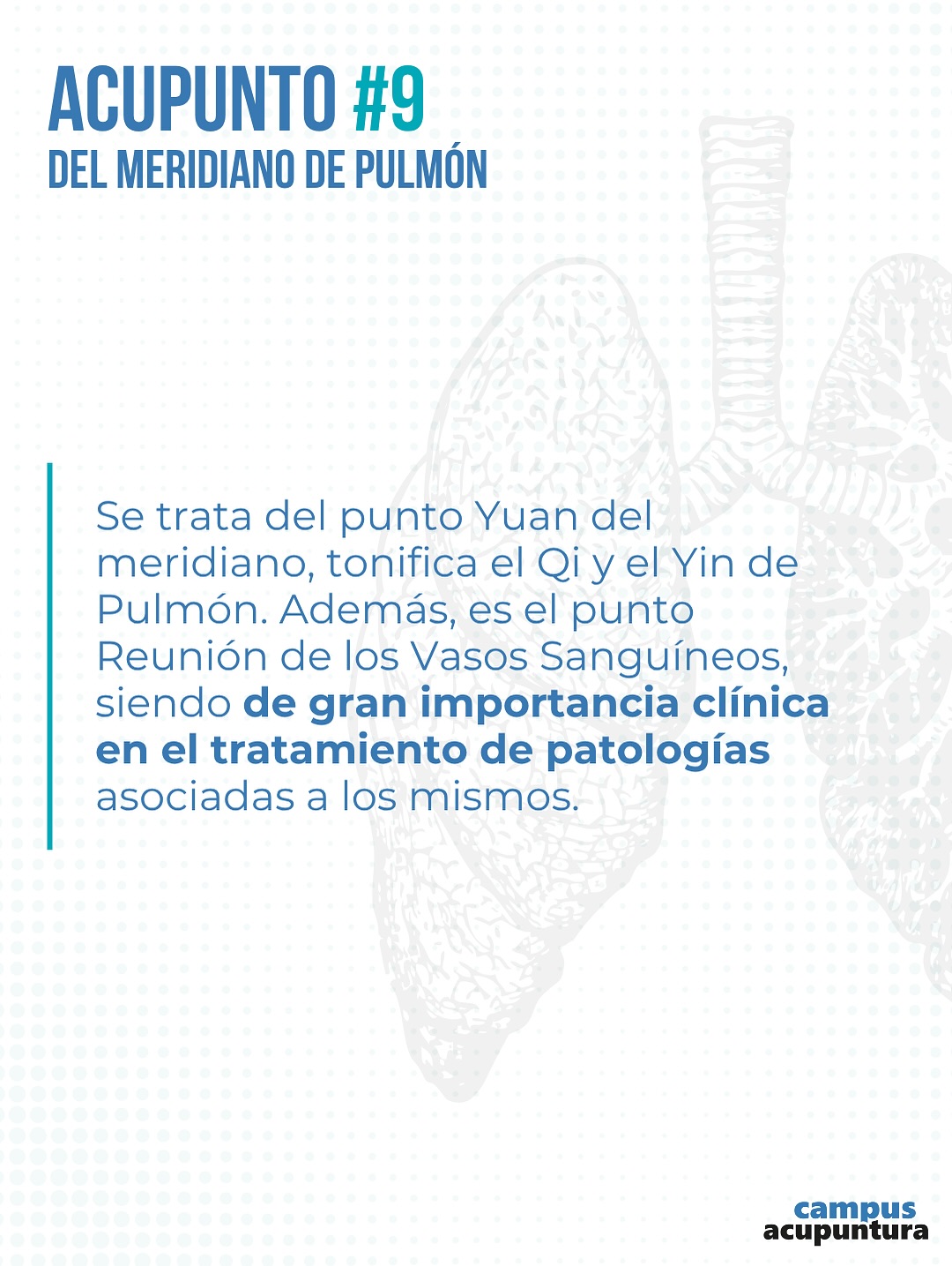 El punto 9 del Meridiano de Pulmón también denominado Abismo Supremo (TAI YUAN) es el punto Shu o Arroyo del meridiano Yin El punto 9 del Meridiano de Pulmón también denominado Abismo Supremo (TAI YUAN) es el punto Shu o Arroyo del meridiano Yin