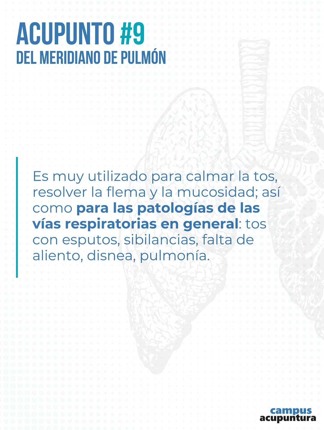 El punto 9 del Meridiano de Pulmón también denominado Abismo Supremo (TAI YUAN) es el punto Shu o Arroyo del meridiano Yin El punto 9 del Meridiano de Pulmón también denominado Abismo Supremo (TAI YUAN) es el punto Shu o Arroyo del meridiano Yin