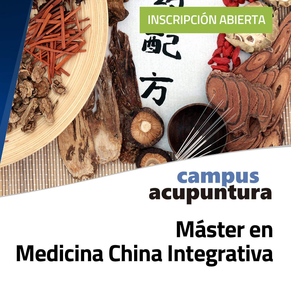 Máster en Medicina China Integrativa