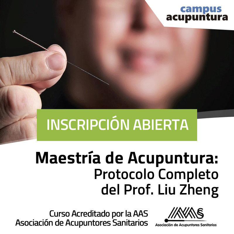 Maestría de Acupuntura: Protocolo Completo del Prof. Liu Zheng