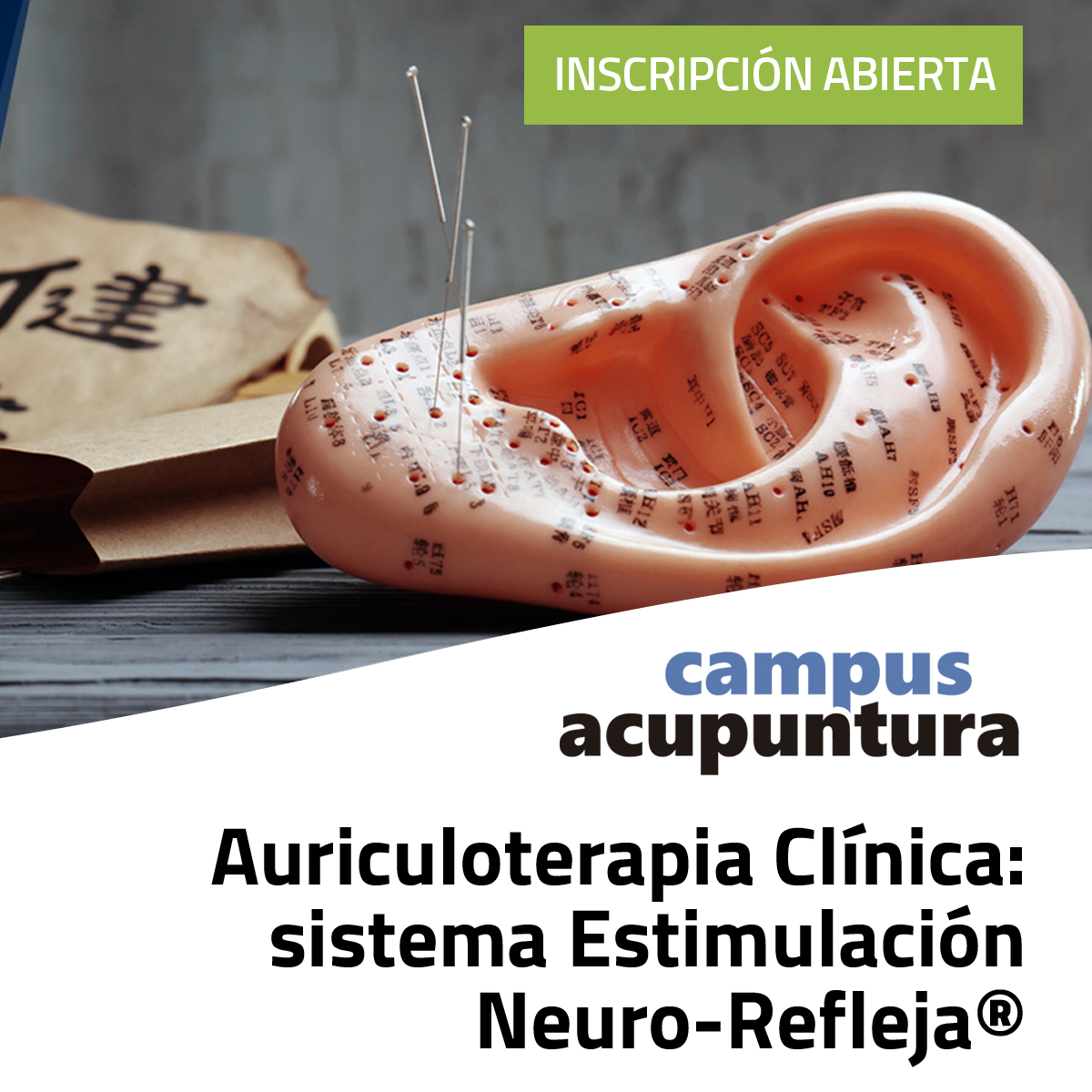 Estimulación Neuro-Refleja® Auricular: Auriculoterapia Clínica
